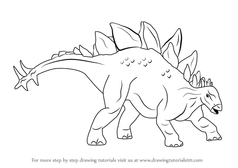 how to draw a dinosaur t rex stegosaurus drawing simple