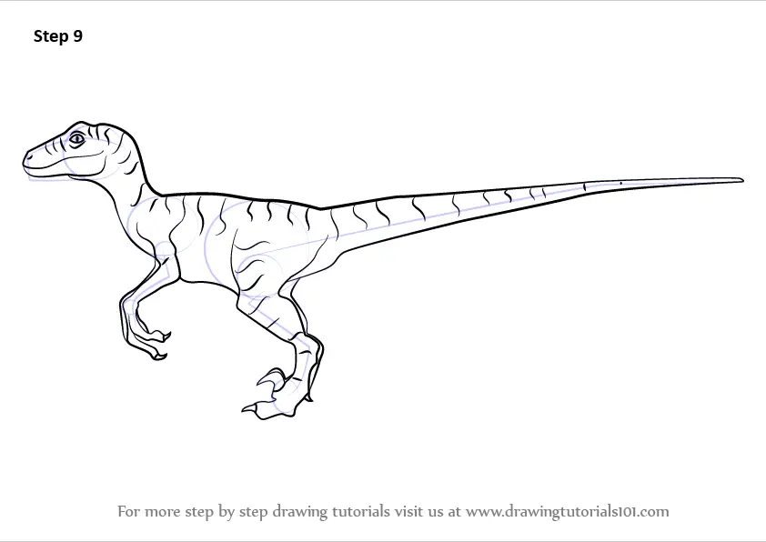 Learn How to Draw a Velociraptor Dinosaur (Dinosaurs) Step by Step