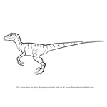 How to Draw a Velociraptor Dinosaur