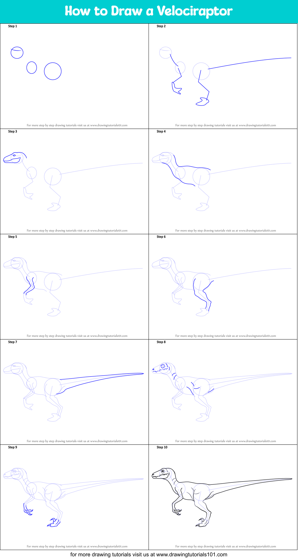 How to Draw a Velociraptor printable step by step drawing sheet