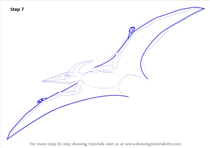 Learn How to Draw a Pterodactyl (Other Creatures) Step by Step