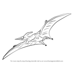 How to Draw a Pterodactyl