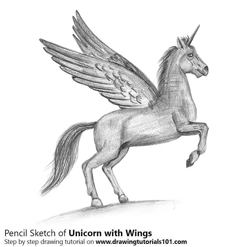 Pencil Sketch of Unicorn with Wings - Pencil Drawing
