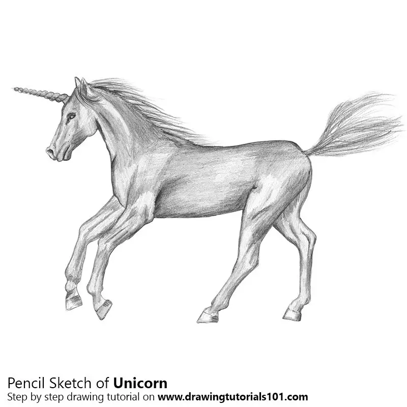 Pencil Sketch of Unicorn - Pencil Drawing