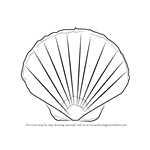 How to Draw a Seashell