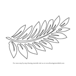 How to Draw Fern-fronds