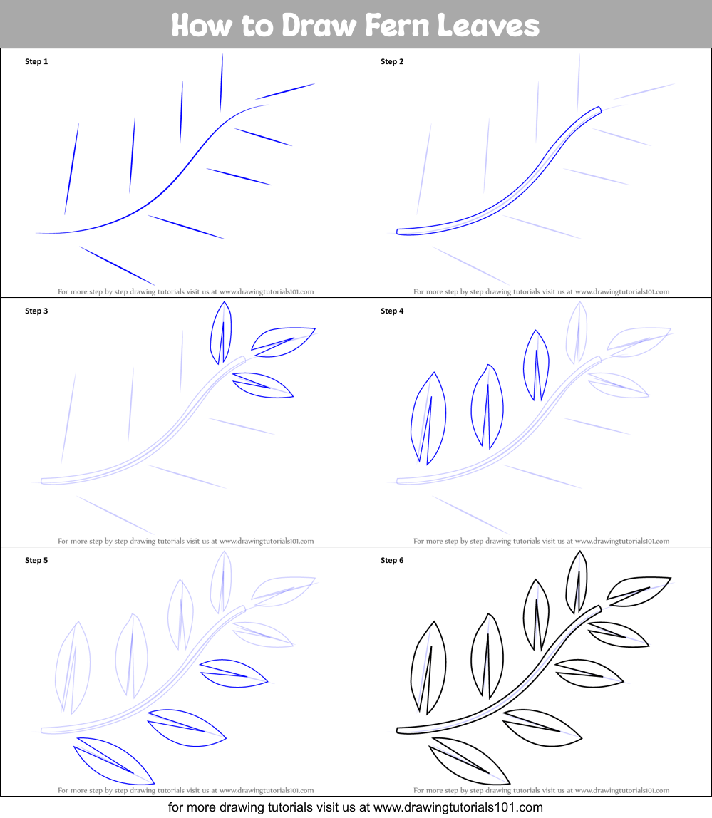 How to Draw Fern Leaves printable step by step drawing sheet