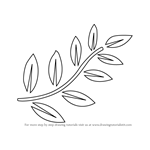 How to Draw Fern Leaves