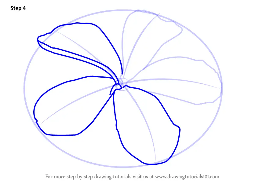 Learn How to Draw Frangipani Flower (Plants) Step by Step Drawing