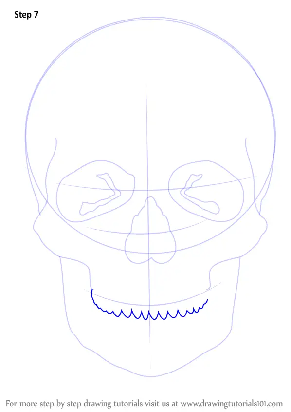 Learn How to Draw a Skull (Skulls) Step by Step Drawing Tutorials