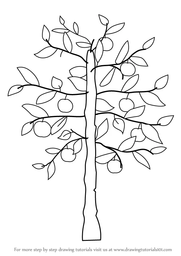 Learn How to Draw an Apple Tree (Trees) Step by Step Drawing Tutorials