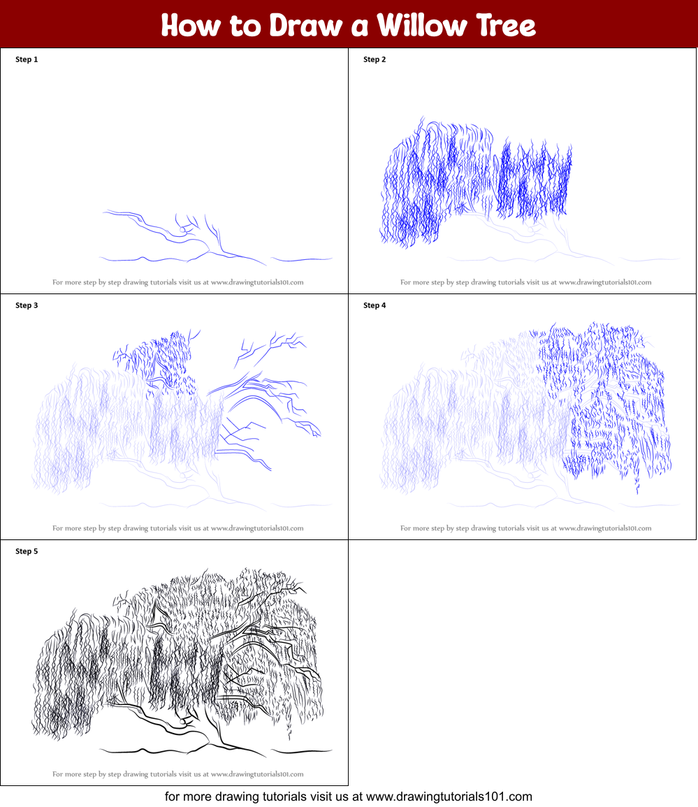 How to Draw a Willow Tree printable step by step drawing sheet ...