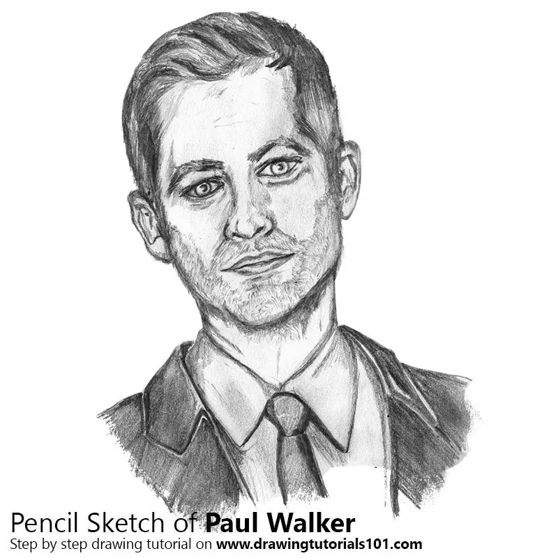 Pencil Sketch of Paul Walker - Pencil Drawing