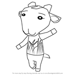 How to Draw Nan from Animal Crossing