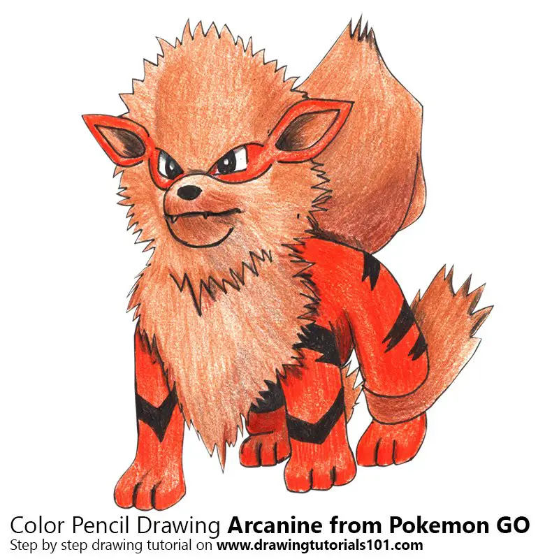 Arcanine from Pokemon GO Color Pencil Drawing
