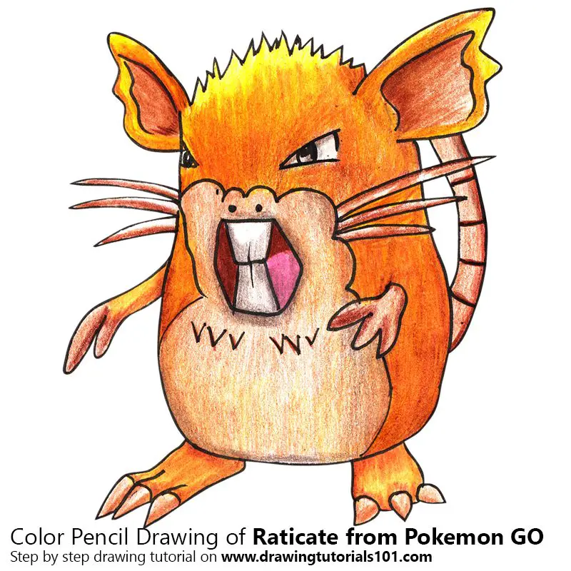 Raticate from Pokemon GO Color Pencil Drawing