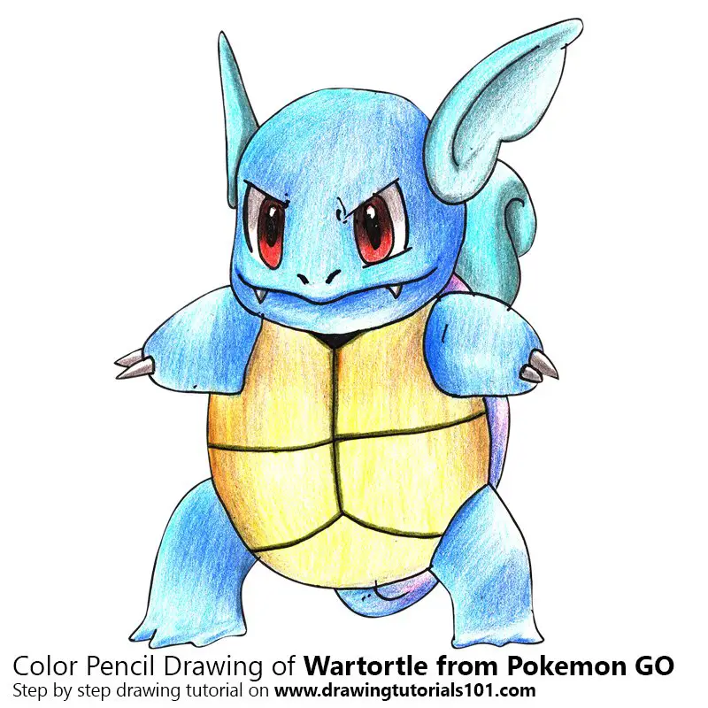 Wartortle from Pokemon GO Color Pencil Drawing